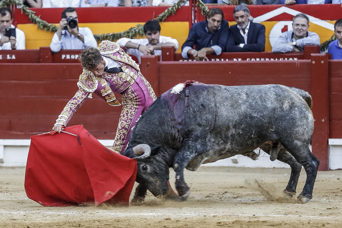 cultorocom's tweet photo. "El corazón de Escribano ya baila por sevillanas para ponerse de nuevo delante del toro" https://t.co/F95ga67NBO https://t.co/crAAWEbCMc