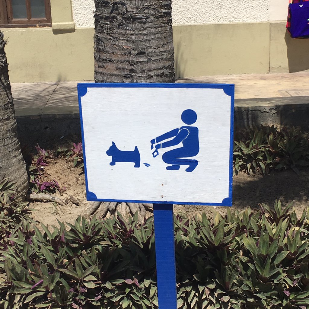 Am I the only one who thinks this looks like a lover's spat and the human is begging the dog to reconsider?