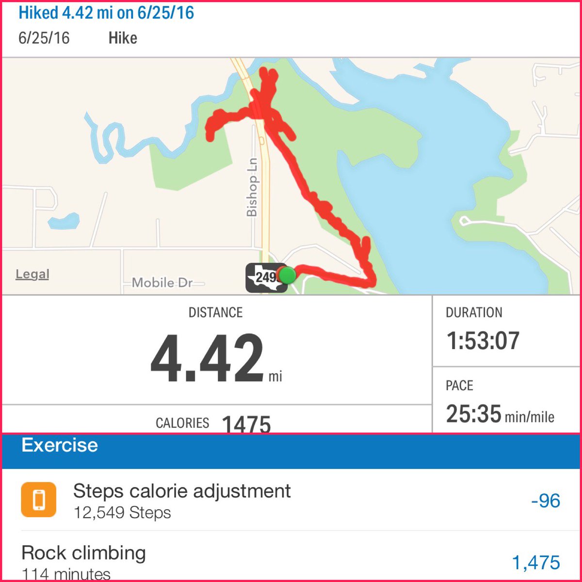 jamileh's tweet photo. I love how @MyFitnessPal records my hike (logged with #mapmyhike) as Rock Climbing. Makes me feel
like a badass. https://t.co/mxyC3HE4Gh