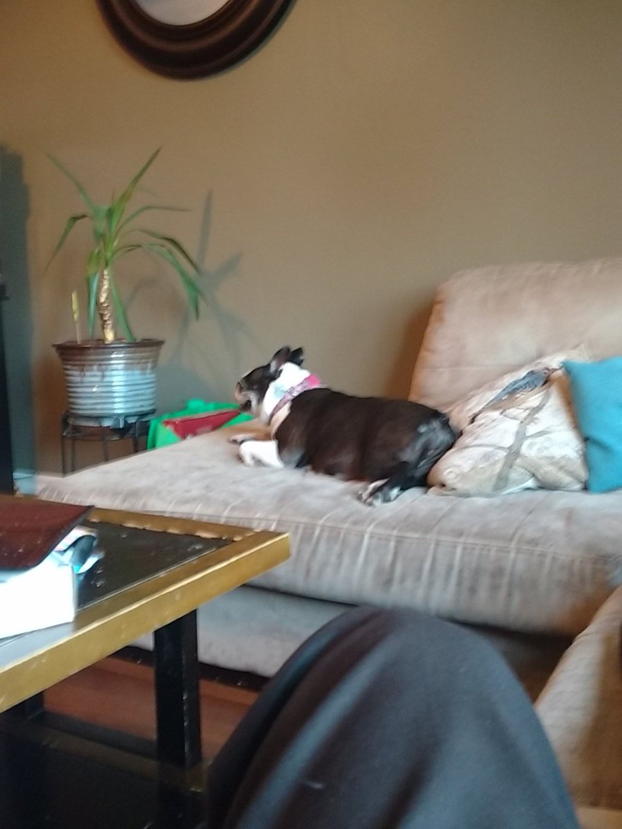 All Tuckered out after a jog.