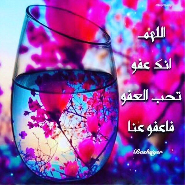 ✨ أ.بشاير اليافعي ✨ tweet media