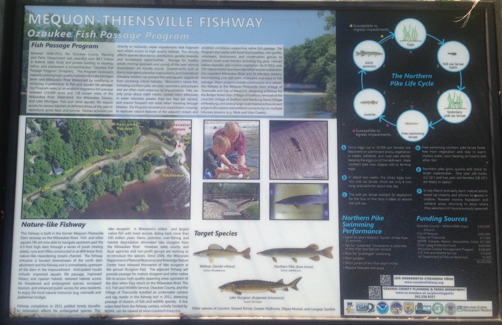 migratoryfishes's tweet photo. Or if you're in Thiensville for #FamilyFunBeforetheFourth, you can see a #dam that's been modified for #fish passage https://t.co/caqDjwG4SQ