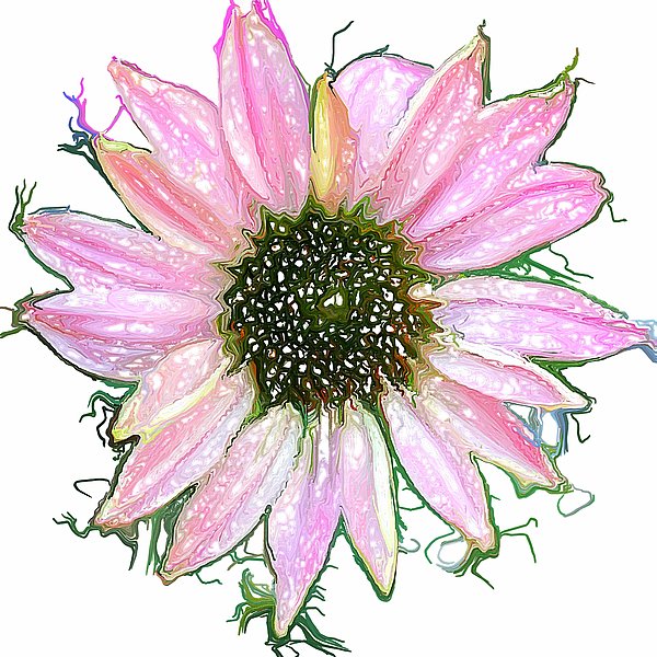 ajdx4's tweet photo. New artwork for sale! - "Wild Flower Four" - https://t.co/5D6hupXH4d @howdoyoupixels https://t.co/45EffC47Gl