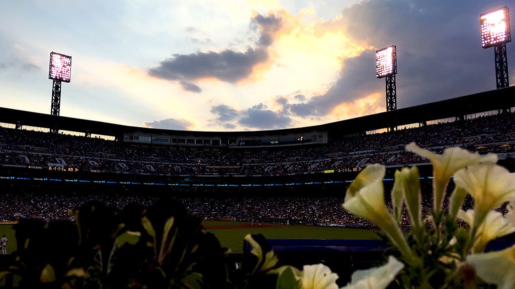 MLB tweet picture