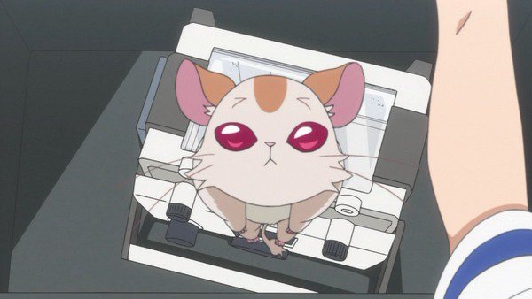 はいふり最終回