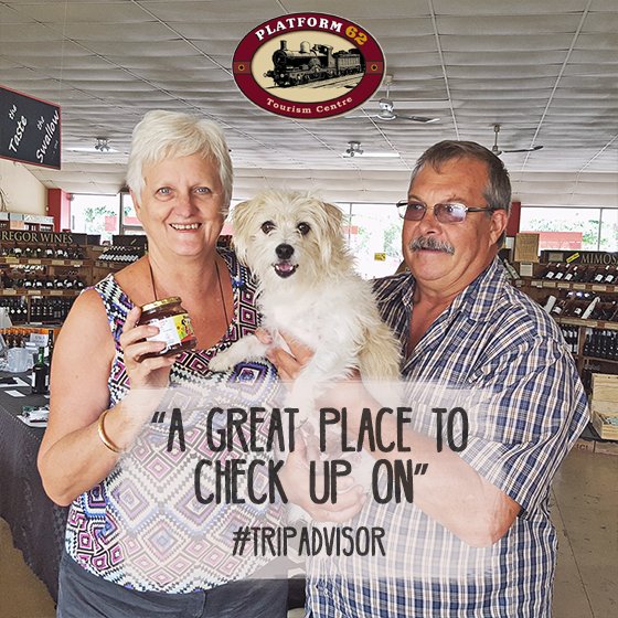 Thank you for all the wonderful TripAdvisor reviews! Pic by <a href="/PetFriendlyCT/">PetFriendlyCapeTown</a>.