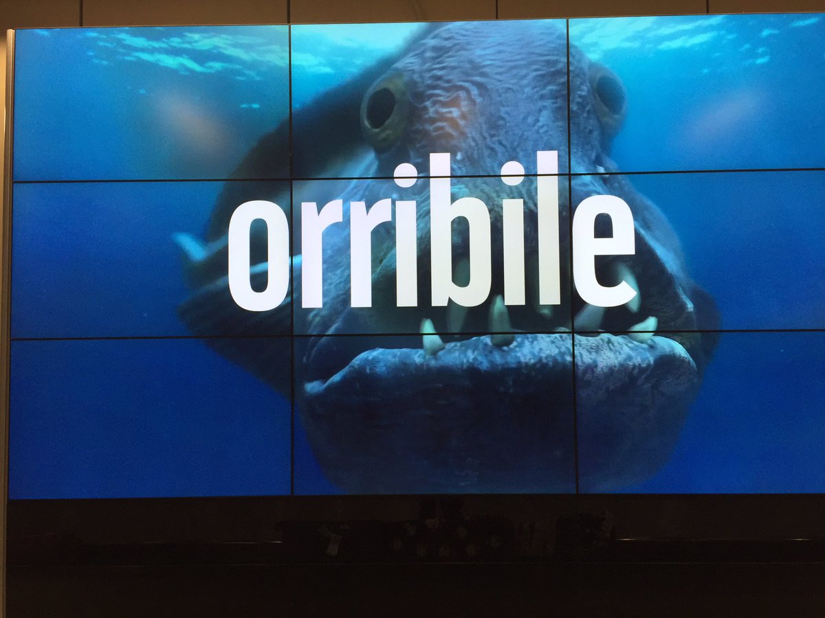 Marco Lambertini tweet media