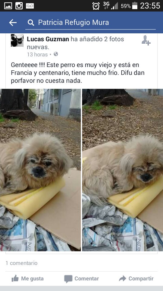 refugioenalerta's tweet image. La indiferencia mata también en #SanIsidro ,vieji en la calle. Urg un lugarcito