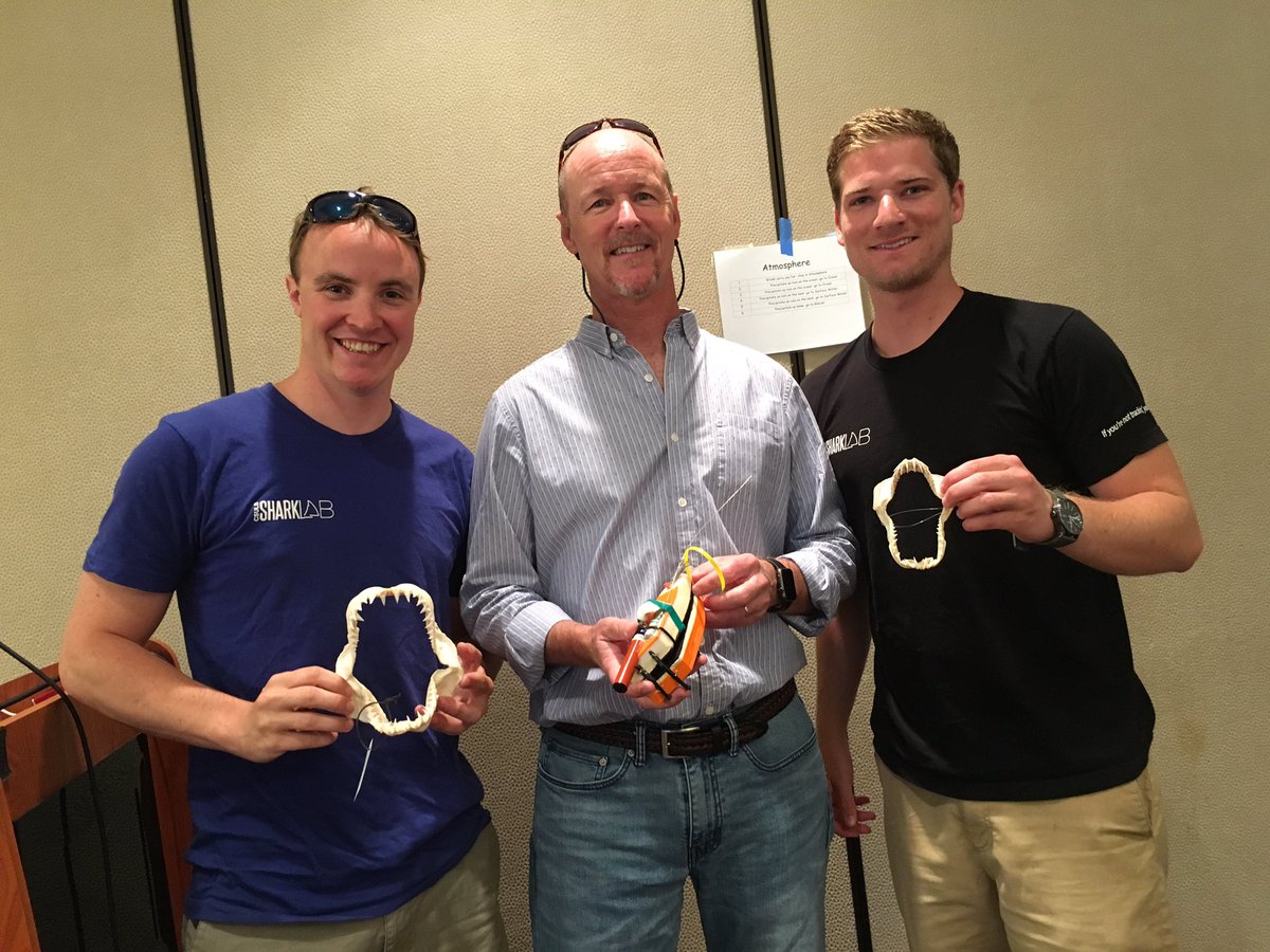 K-12 Alliance tweet media