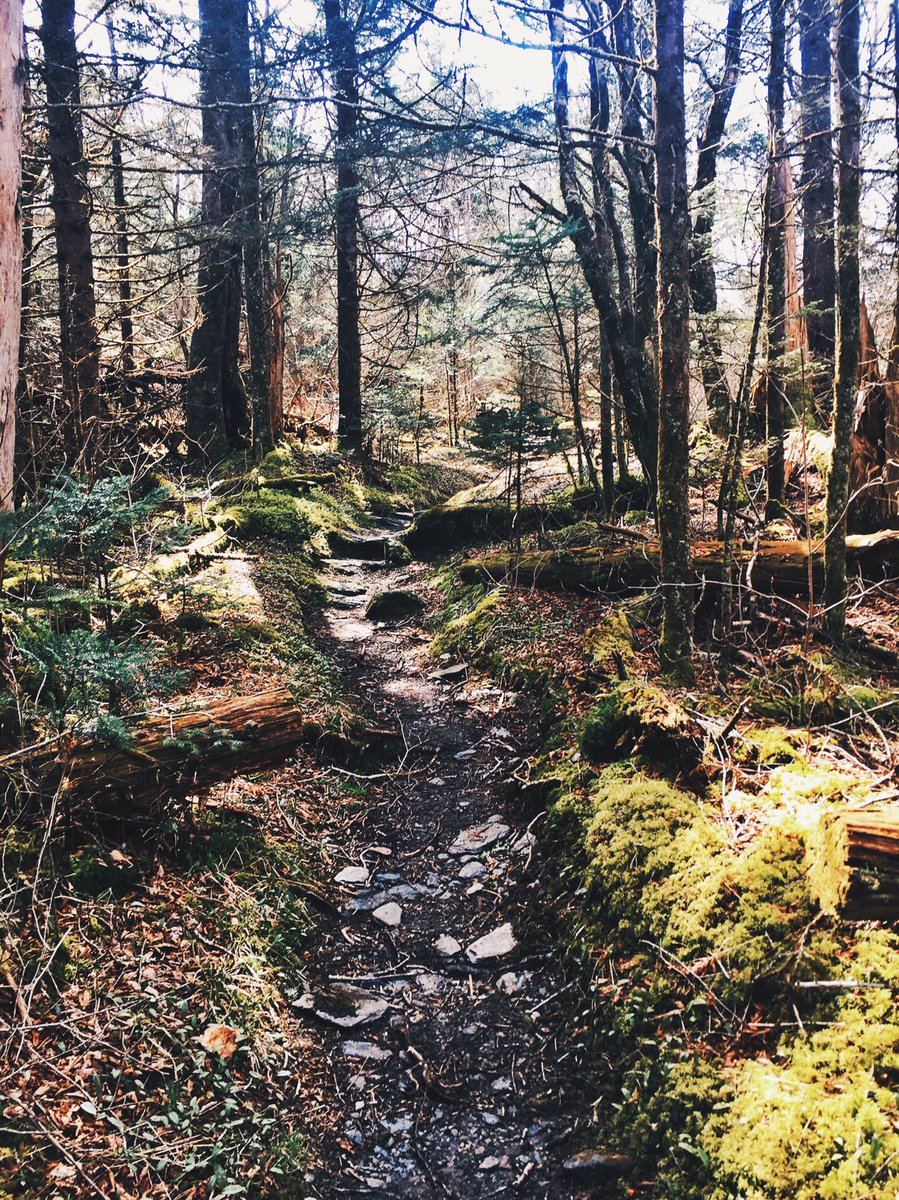 thathiker's tweet photo. The Smokies are cool https://t.co/J2XQMft8mC