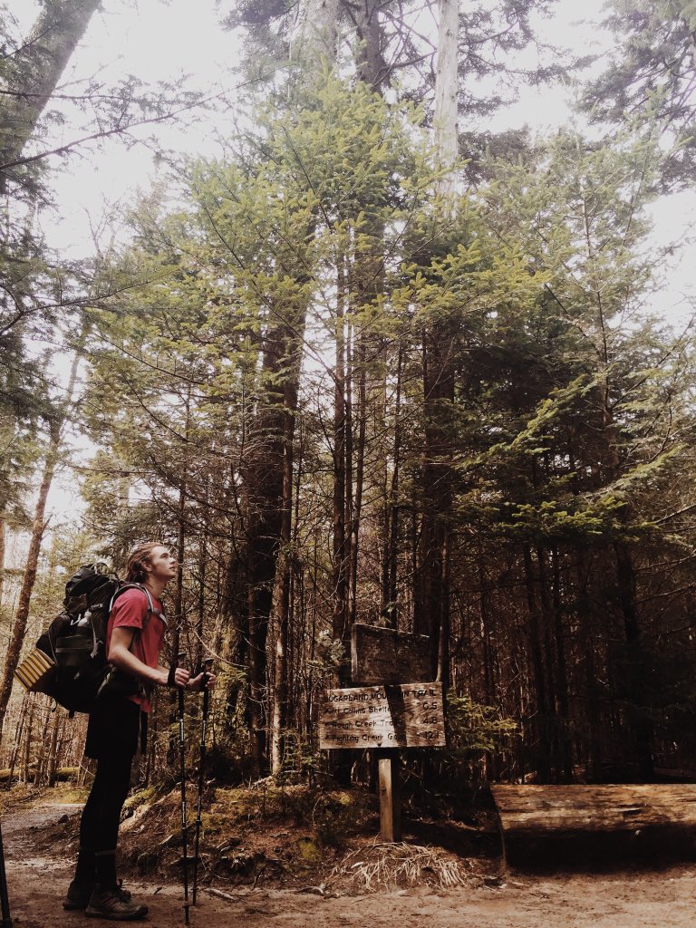 thathiker's tweet photo. The Smokies are cool https://t.co/J2XQMft8mC
