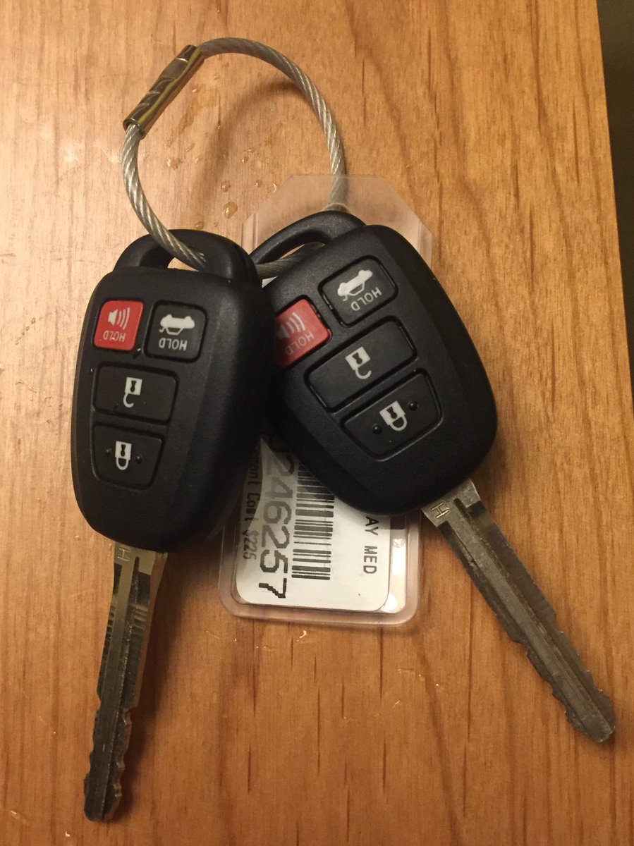 Two car keys on a wire loop.