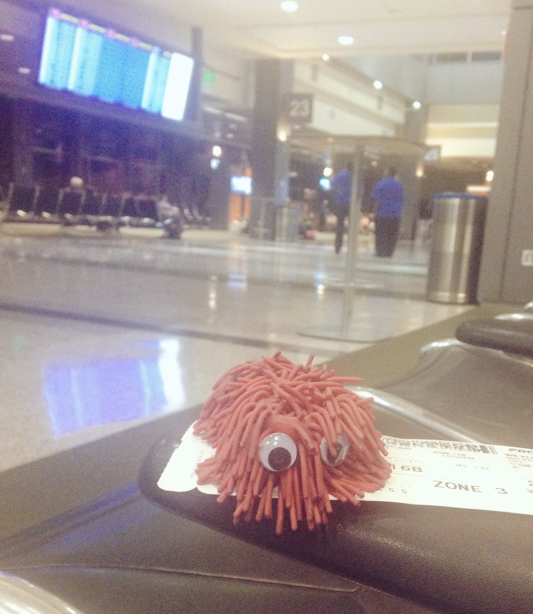 AdventuresofMop's tweet photo. Off on my next adventure @AUStinAirport #moplife #mopknowsbest #upupandaway ✈️✈️✈️✈️ https://t.co/cYKFLkXrtc
