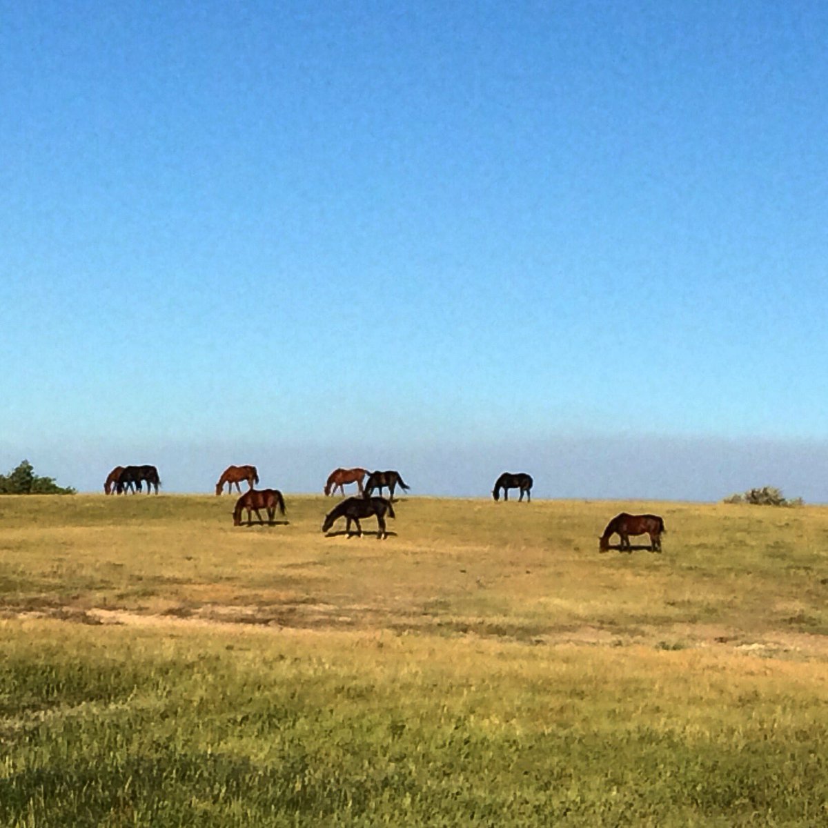 JenRoytz's tweet photo. #GateToGreat in South Dakota. Heaven on earth. https://t.co/adJxfBhJSQ