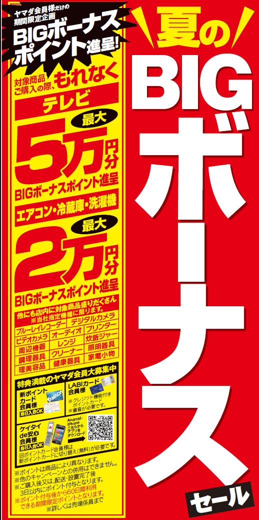 夏のBIGボーナスセール開催中！ 期間限定企画 対象商品ご購入の際