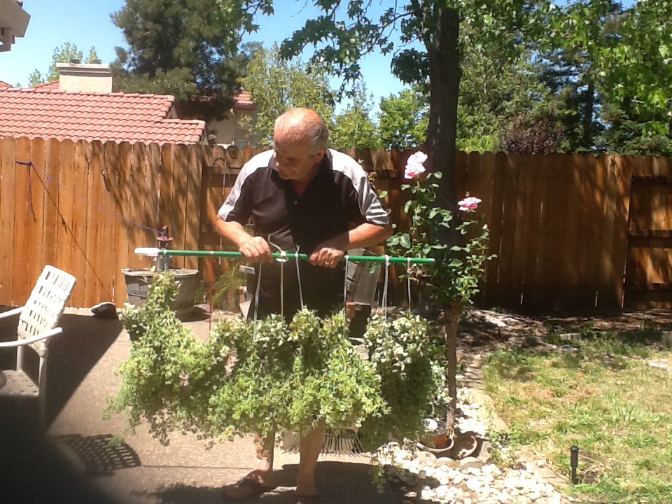dimitratsigaris's tweet photo. Look how proud my dad is of his rigani #fobprobs https://t.co/yobrp4QwC2