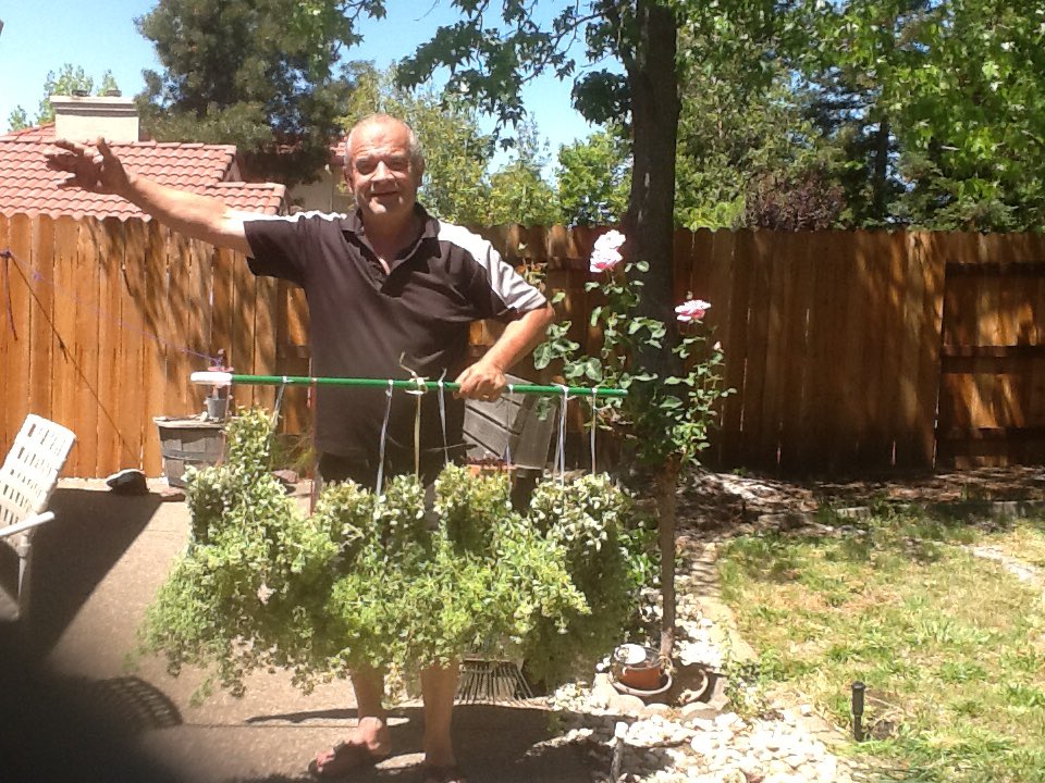 dimitratsigaris's tweet photo. Look how proud my dad is of his rigani #fobprobs https://t.co/yobrp4QwC2