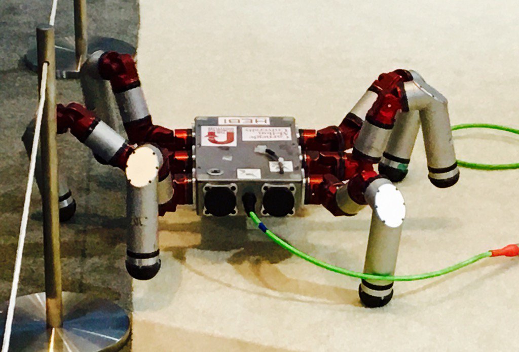 HelenaCLeurent's tweet image. #biorobots: Imagine finding one of these in the bath #hexapod @carnegiemellon #amnc16