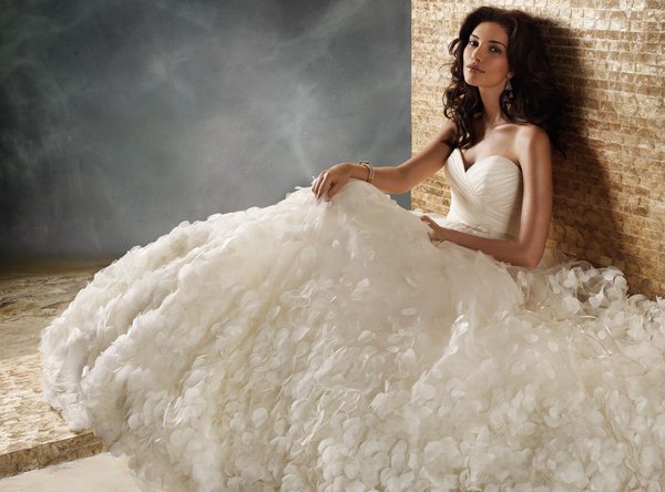 Wedding dress at a sample and save a lot of money!