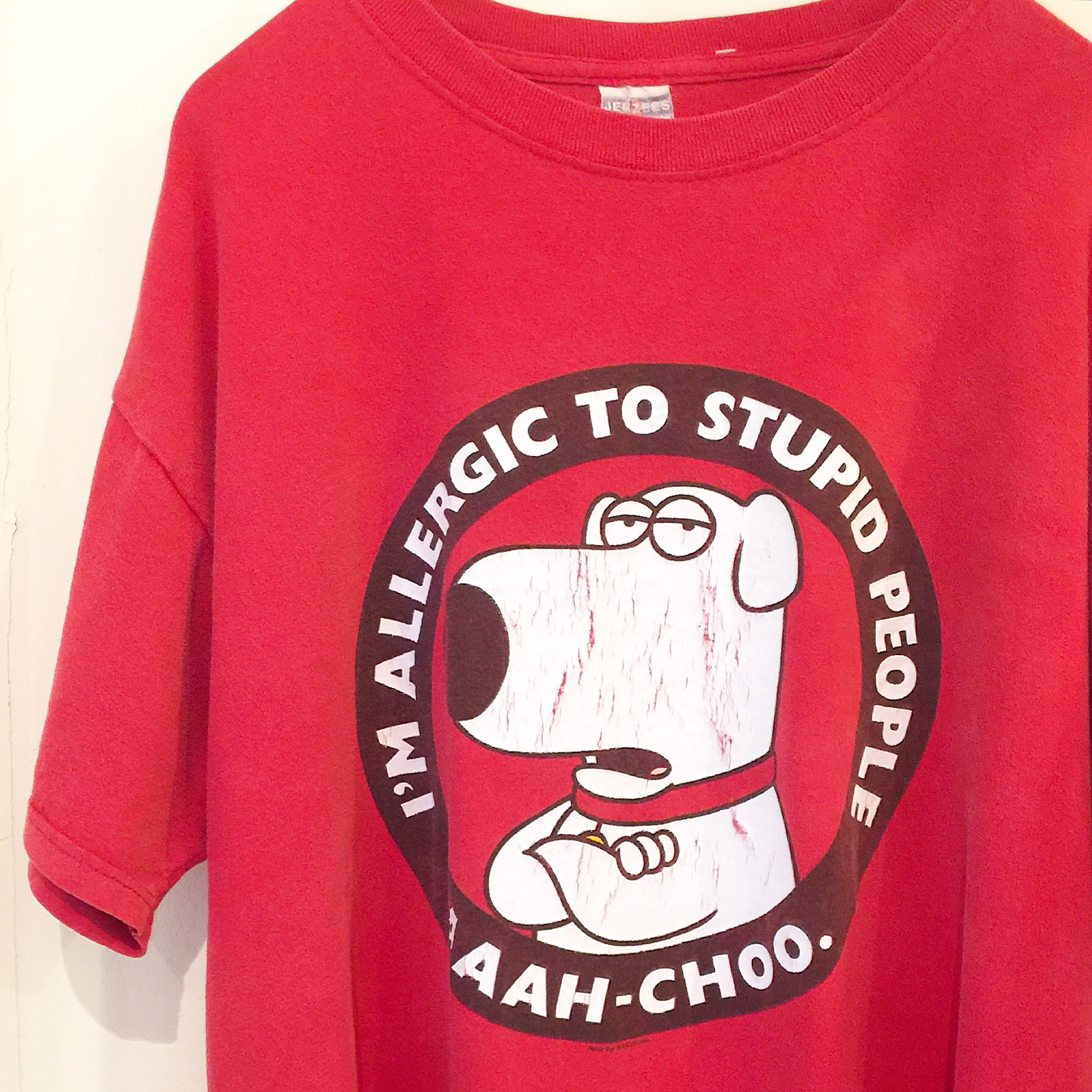 Taffee Pa Twitter アメリカアニメ Family Guy の キャラtee ヌケた感じのプリントが 可愛いですね Taffee 宮崎 古着 通販 ファミリーガイ キャラクター キャラt 犬 Brian ブライアン T Co Hstylqo6wn Twitter