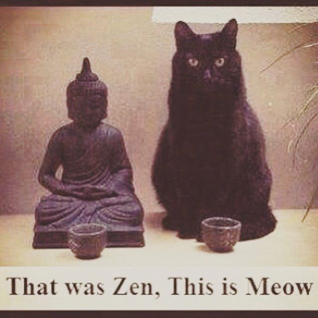 Yoga4Love's tweet photo. https://t.co/VgQV78yd2v