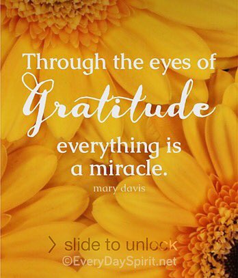 lifestylings's tweet photo. Through the eyes of #Gratitude everything is a #Miracle. #MDavis @EveryDaySpirit1 @KariJoys @roxanamjones @alxindia https://t.co/u6wckdirvW