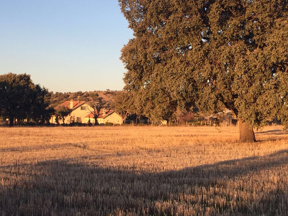 ¡Feliz domingo!
#pasionporaldeallana
#bodas #eventos