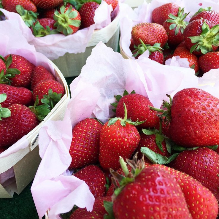Cannes_France's tweet photo. Fresh fruits and vegetables from local farmers in #Cannes at Forville Market! 🍓 🍒 🍑 https://t.co/Mn9YsbwKhB