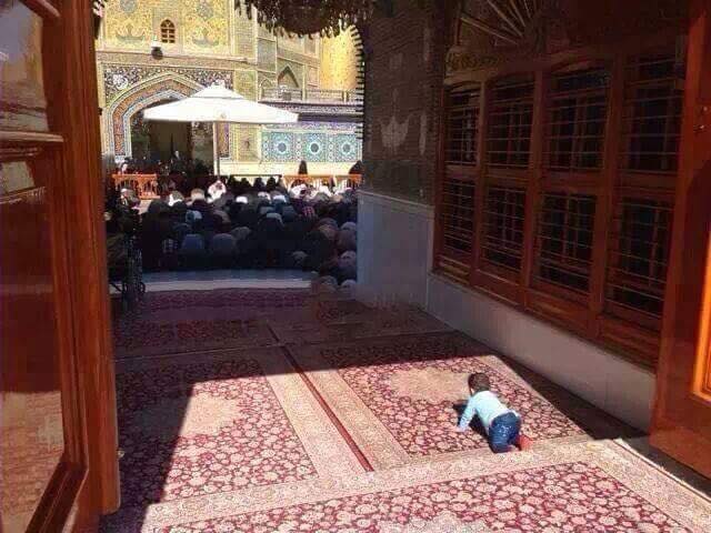 ALEye_News's tweet photo. لا عذب الله أمي إنها شربت حب الوصي وغذتني بلبنِ
وكان لي والد يهوى أبا حسن فصرتُ من ذي وذا أهوى أبا حسنٍ https://t.co/mY8cvNxygT