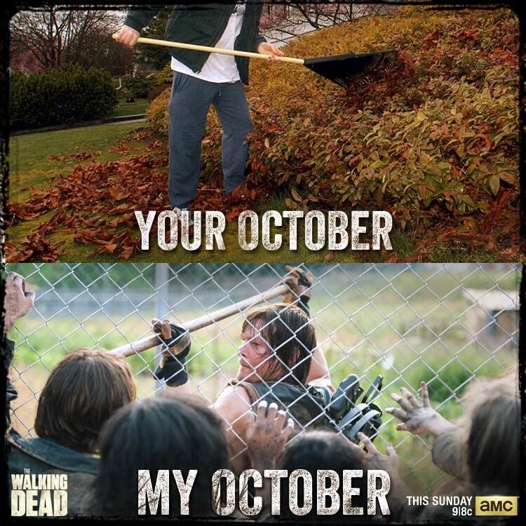 Dnbrgh's tweet photo. Vivement Octobre #TWD https://t.co/daGMGS328b