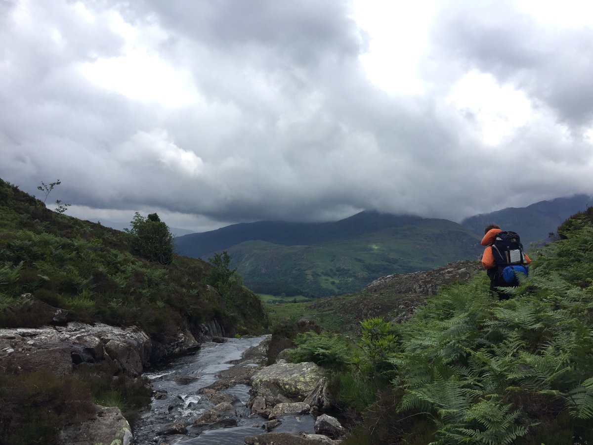 Richard Hale DofE tweet media