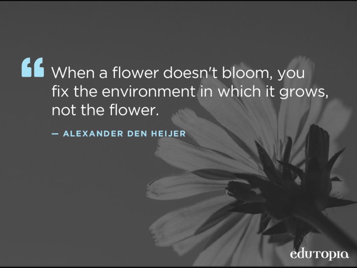 Jenniflowers_CT's tweet image. When a flower doesn't bloom, you fix the environment in which it grows, not the flower - the same for children 🌸