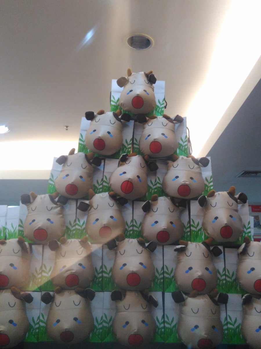 Gramedia Batam On Twitter Boneka Sapi Lucu Ini Namanya Moopi Bisa