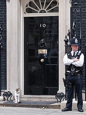 Tricky_1's tweet photo. I wonder how long this council flat will remain empty... #Jexit #EUreferendum #Article50Facts https://t.co/9pDtt1KB5E