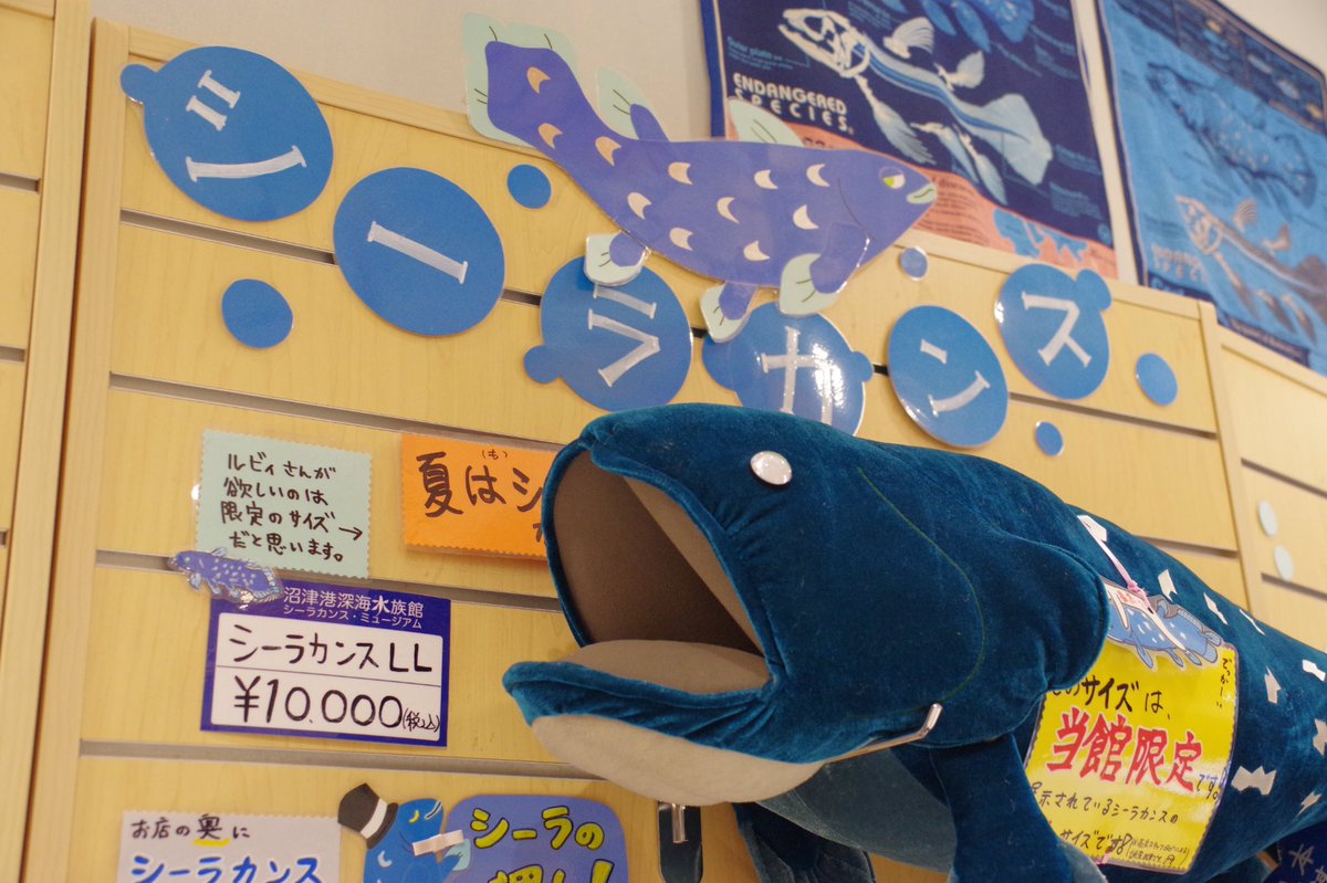 Mr Aoken Ar Twitter ルビィさん効果で 1万円のシーラカンス