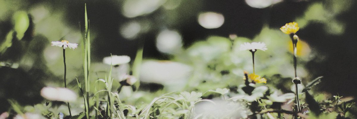 VENIVIDlVICI's tweet photo. @leadchoco park chorong apink twitter pack (icon+header) https://t.co/FNGkl9lg4w