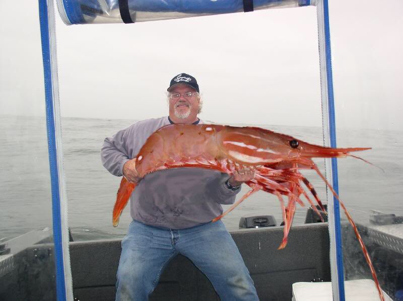 elidreamt's tweet photo. #idreamt my friends caught giant shrimp that I didn't know existed. But they came out of the ocean already cooked. https://t.co/P1MKHCkZ5w