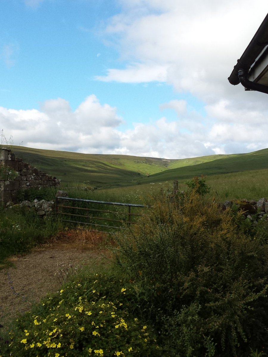 jill_boland's tweet photo. FECKIN' MIDGES! Nice scenery; just hadn't planned on donating blood today. #justsayin #ouchieouchie https://t.co/Xq12qbRnPm