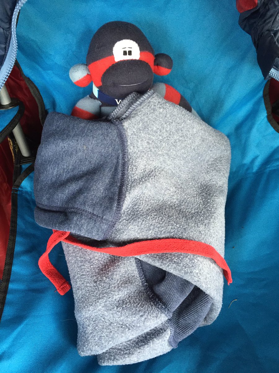 M4HMonkey's tweet photo. So traumatised. Having a little nap #brownstuffingcameout 🙈😵 https://t.co/gURvhSH64b