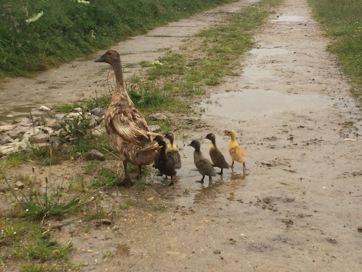Belmullet CGS tweet media