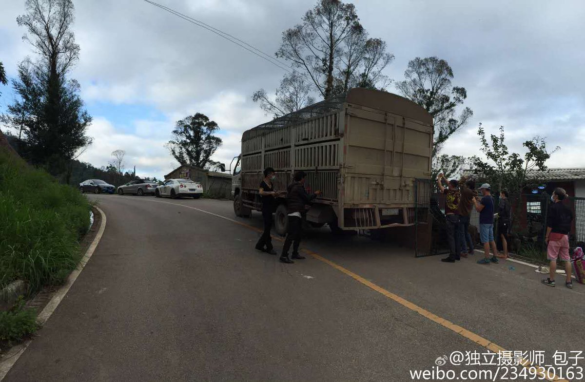 jym117's tweet image. Intercepted 1 track near kunming,another not. Volunteers let dogs walk out of track to reduce anxiety&amp;amp;fearness.