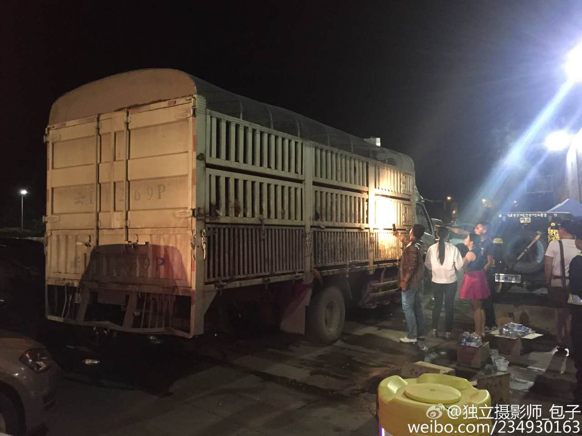 jym117's tweet image. Intercepted 1 track near kunming,another not. Volunteers let dogs walk out of track to reduce anxiety&amp;amp;fearness.