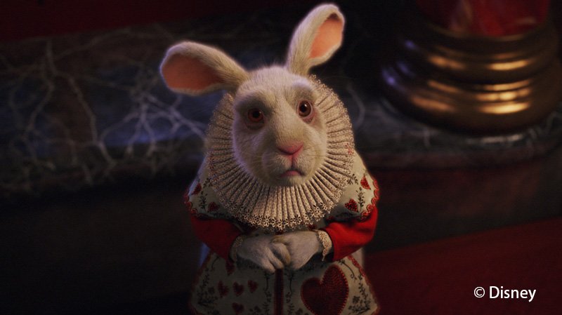 アリスインワンダーランド白うさぎ