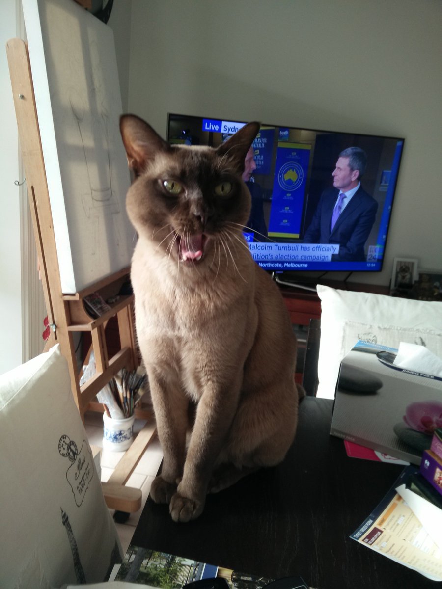 SuzanneRosh333's tweet image. Benny thought #LibLaunch and Uhlmann pontificating after was a huge yawn. #ausvotes