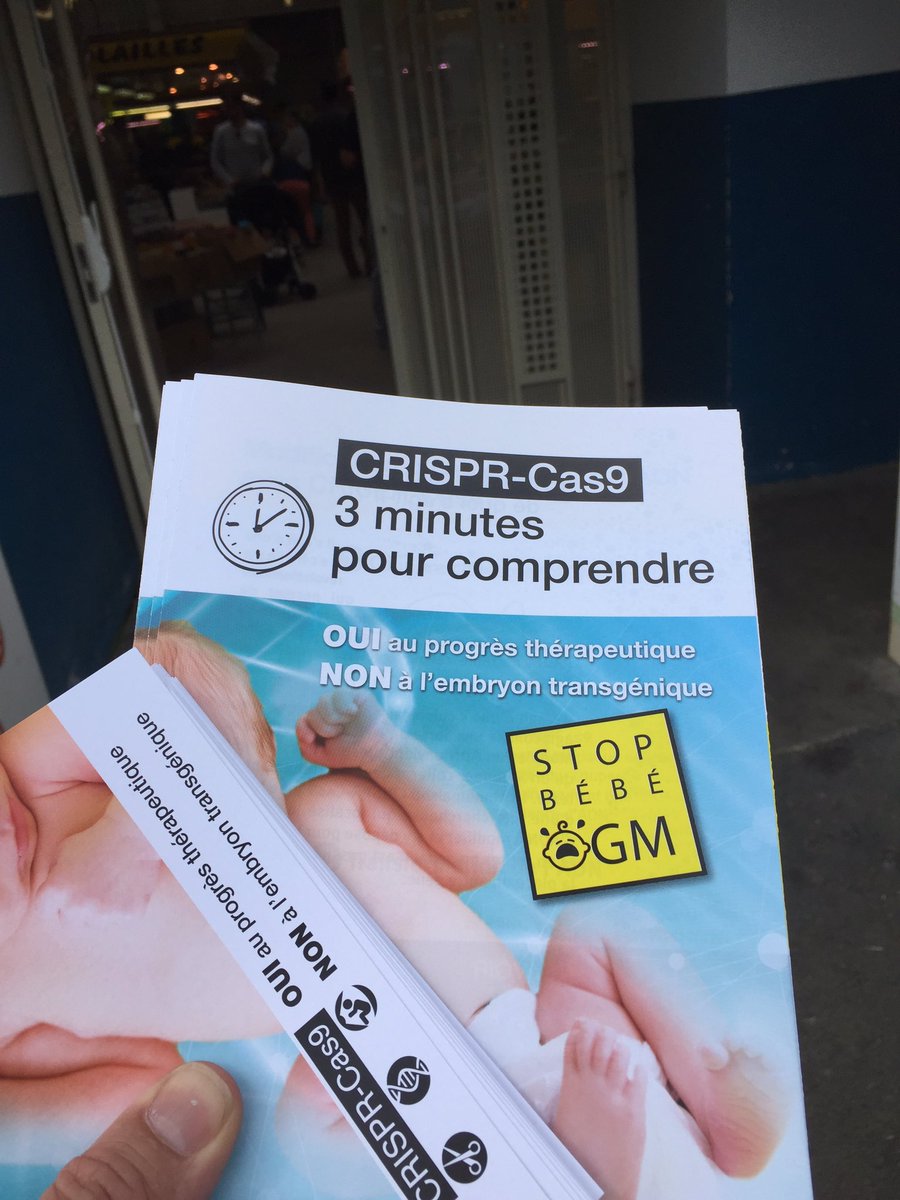 barkanos's tweet photo. #stopbebeogm Non au Bébés génétiquement modifiés ! Sensibilisation au marché de #Meudon #protectbebehumanity https://t.co/PGCWiazJoL