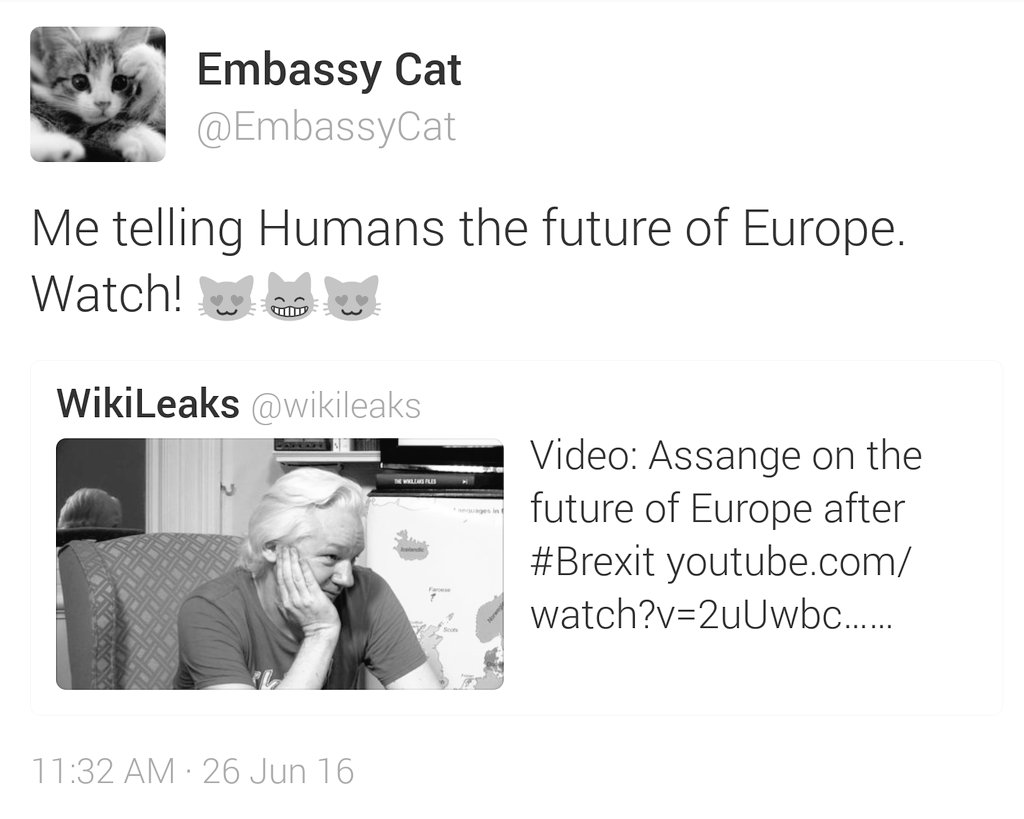 FreeEmbassyCat's tweet photo. periodic reminder that the Embassy Cat account is controlled by the Dark Lord #Assange, not me. Meow
#FreeAzrael https://t.co/FBHEmmWn3c