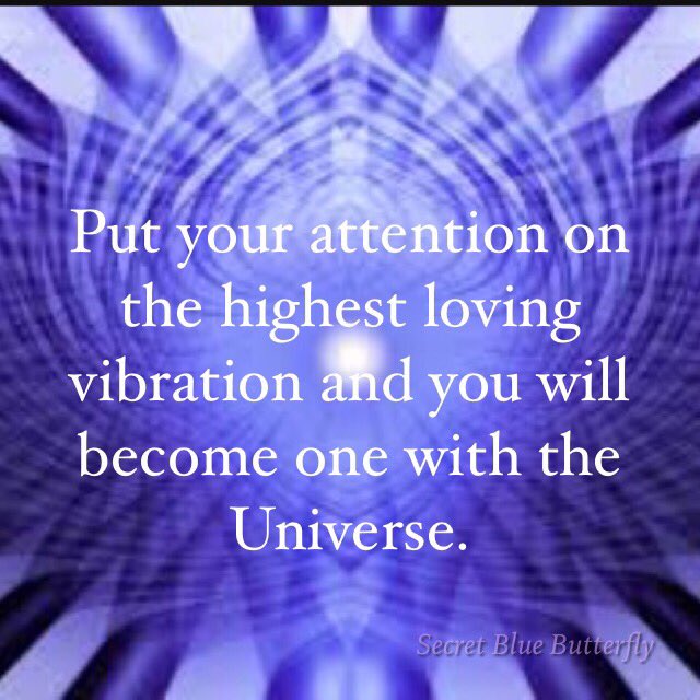 secret2b's tweet photo. #SecretBlueButterfly #bekindtooneanother #vibration #universe #love #mindfulness #meditation #zen #LoveIsAllThereIs https://t.co/YMT4oJWrQW
