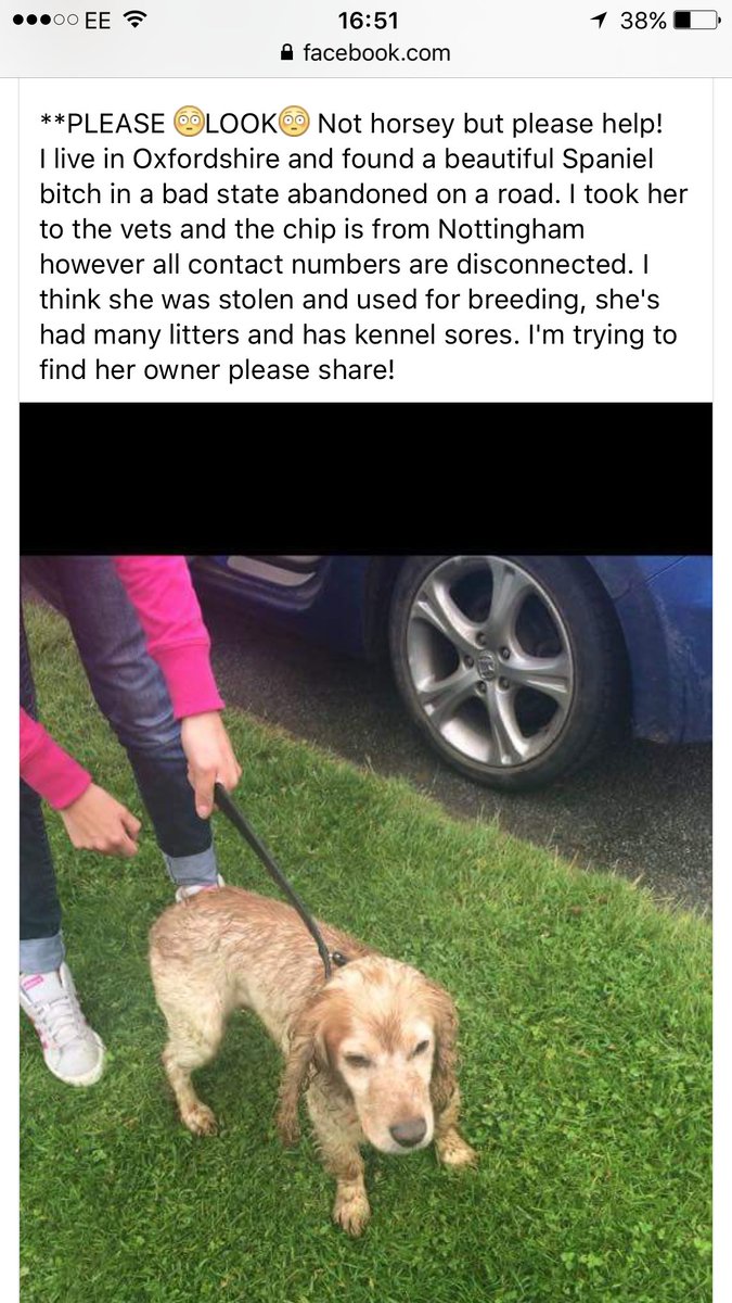 elisha moon tweet media