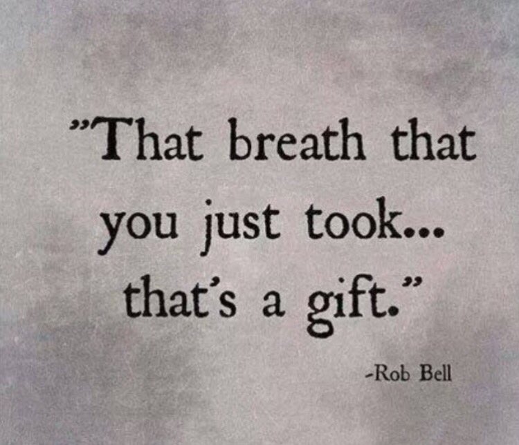 MindfulPosture's tweet photo. "That breath that you just took..." 
#RobBell 🙏

#spirituality #lovewins https://t.co/MEsi4pH9Pa