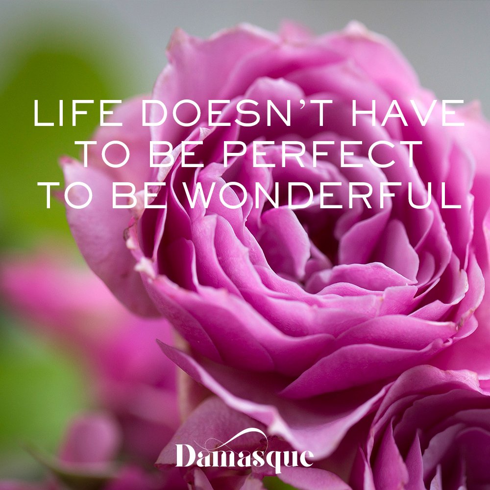 Just enjoy! #Damasque #scentedroses #perfectinperfections